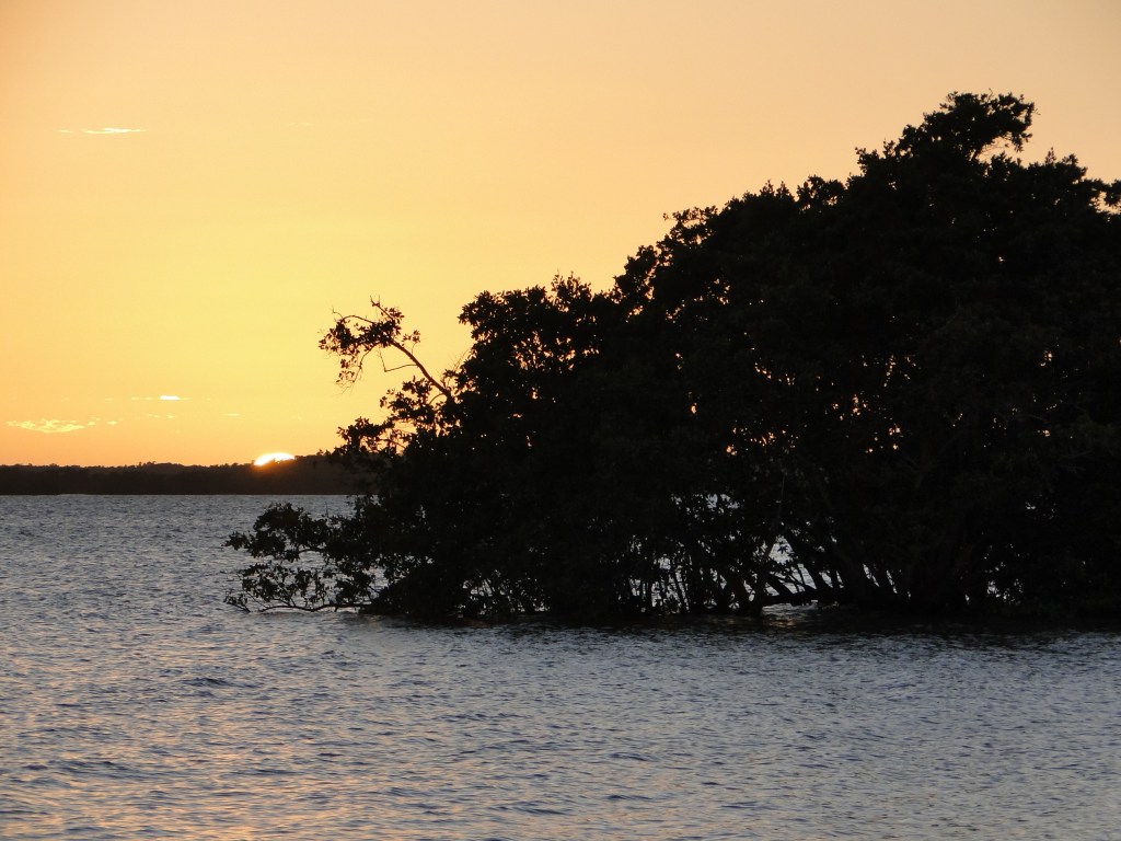 ANNIVERSARY AND CELEBRATION&nbsp;#oilspill