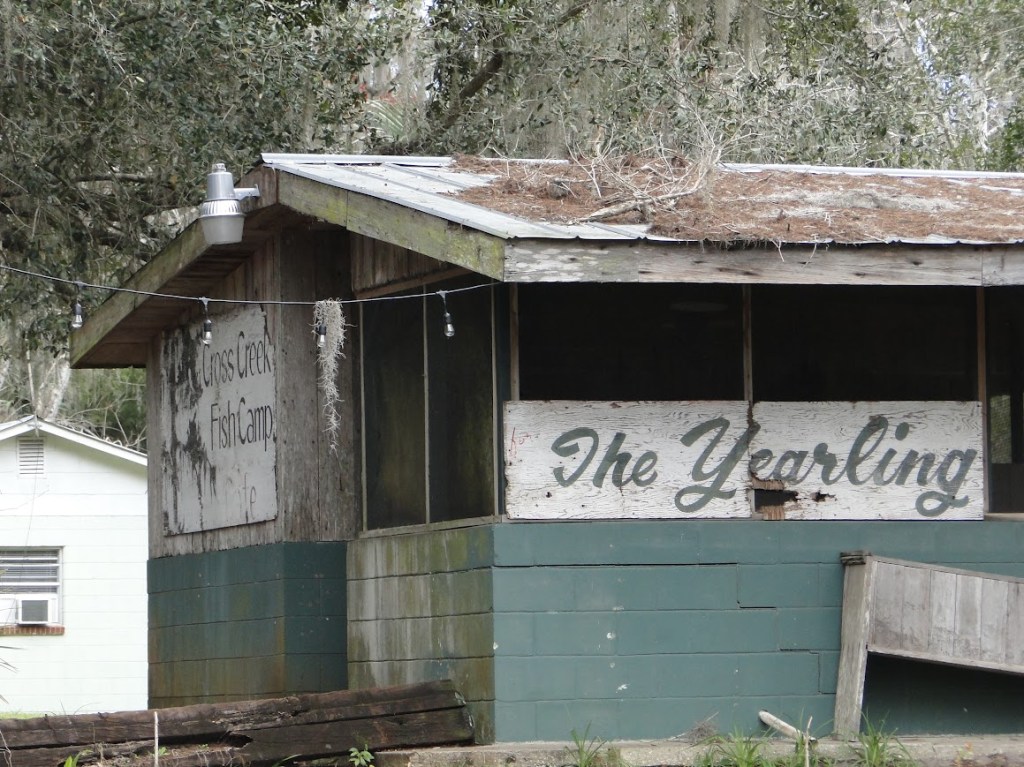 A WRITER’S LIFE AND INSPIRATION